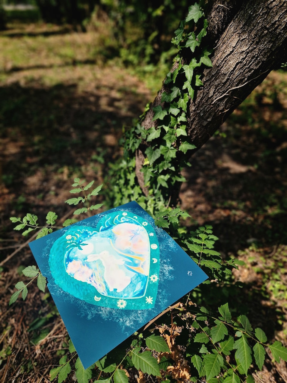 A Hare's Dream [Transformation journey]